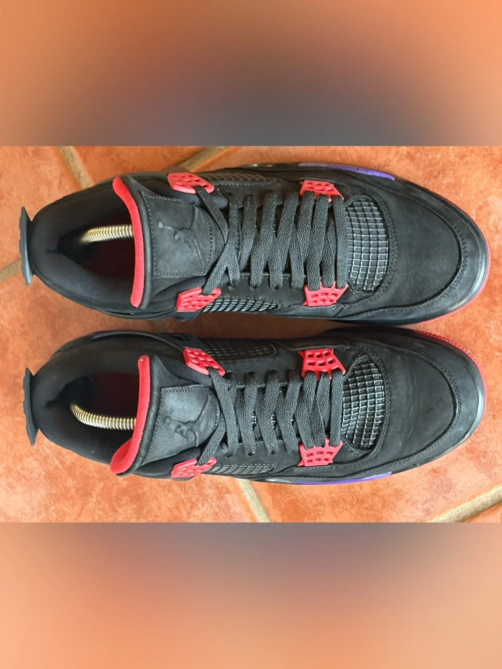 Jordan 4 Retro NRG Raptors - Drake Signature Size 10